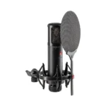 sE Electronics sE2300 Studio Condenser Microphone - Image 3