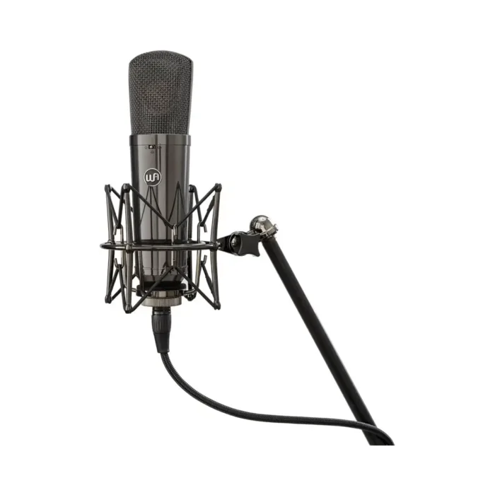 Warm Audio WA-87 R2 TS Large-diaphragm Condenser Mic Pair - LE Titanium - Image 5