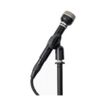 Warm Audio WA-19 Dynamic Microphone - Black - Image 5