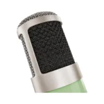 Universal Audio Bock 251 Large-Diaphragm Tube Condenser Microphone - Image 4
