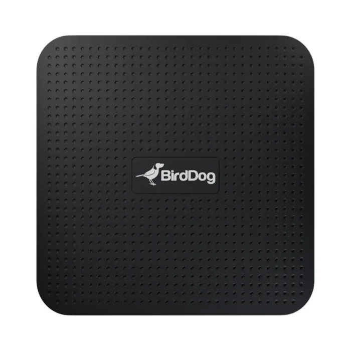 BirdDog Play - Image 2