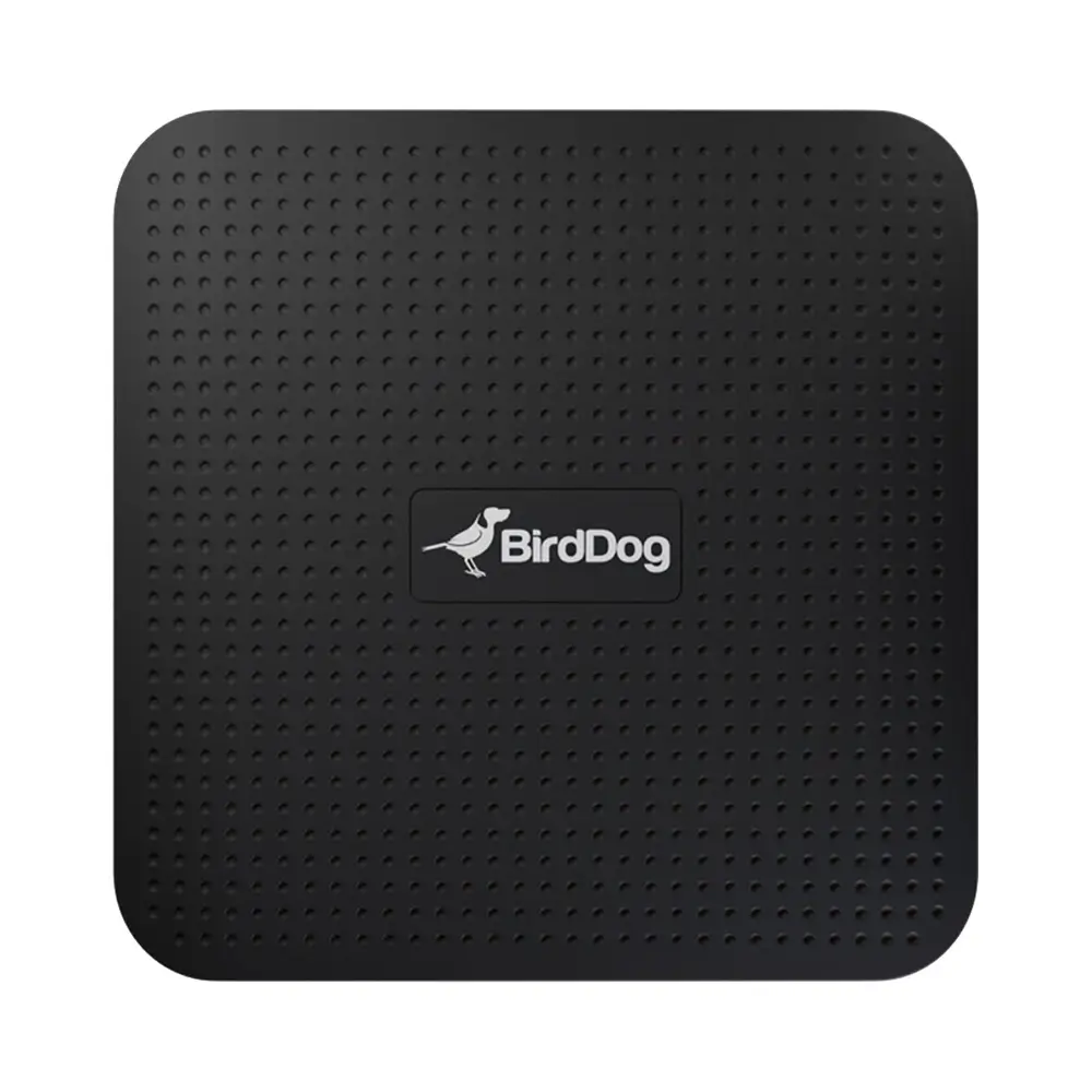 birddog-play-2 BirdDog Play - Image 2
