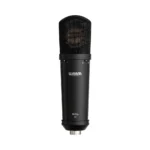 Warm Audio WA-87jr Large-Diaphragm Multipattern Condenser Microphone - Black - Image 2