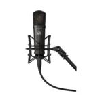 Warm Audio WA-87jr Large-Diaphragm Multipattern Condenser Microphone - Black - Image 4