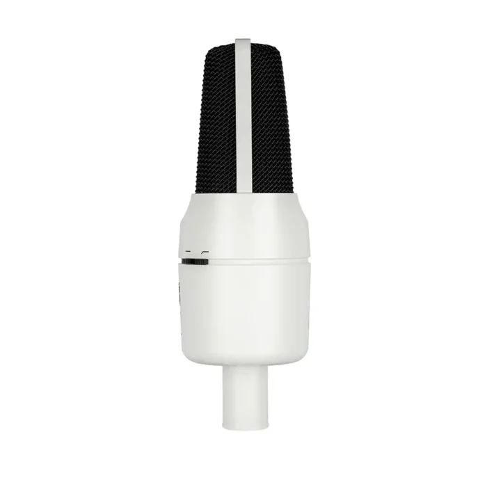 sE Electronics X1 A