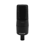 sE Electronics X1R Passive Ribbon with HF Extension Tech - Image 4